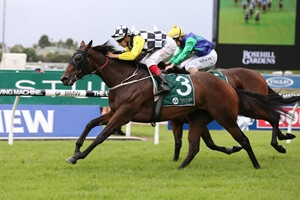 Norzita Vinery Stakes